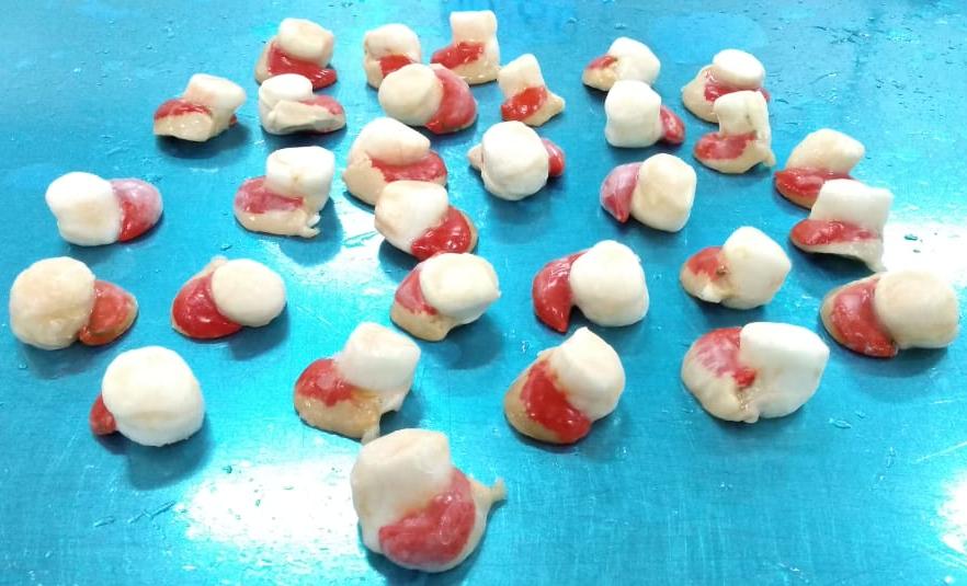 Scallops